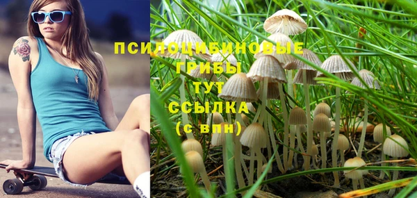 MDMA Богородицк