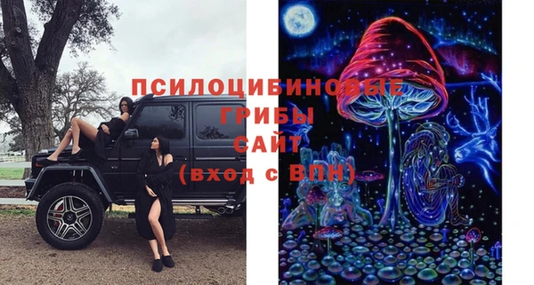 каннабис Богданович