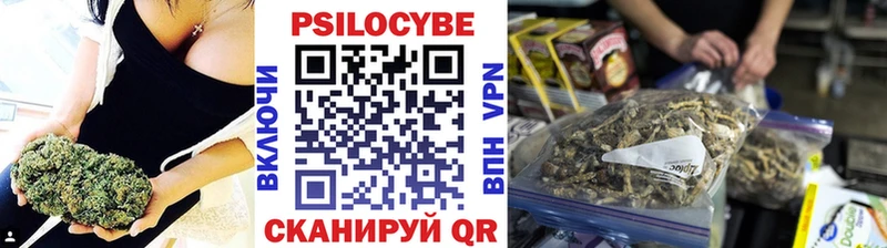 ссылка на мегу tor  Острогожск  Галлюциногенные грибы Psilocybine cubensis 